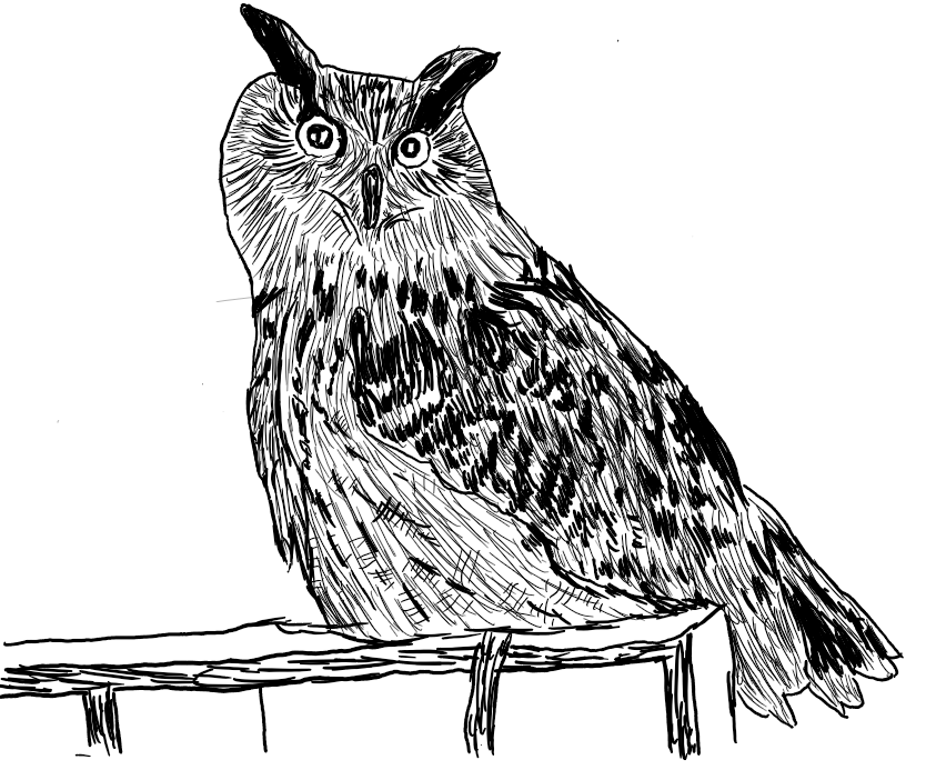 2021-01-31_15_10_25-Microsoft_Whiteboard_liqr09